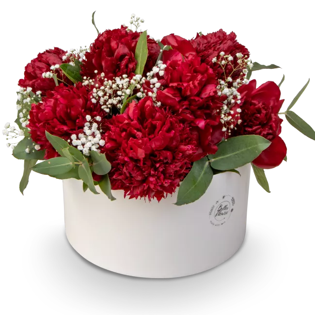 Box červených pivoněk